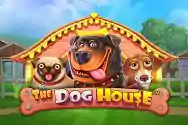THE DOG HOUSE?v=6.0